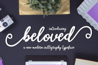 Beloved Script: A Modern Typeface for Small Business Branding