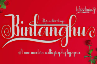 Bintanghu Font: Elevate Your Brand Visuals