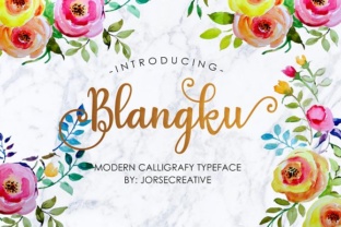 Blangku: A Hand-Drawn Font for Modern Brands