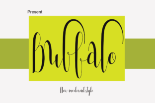 Buffalo Typeface Review: A Playful Script for Branding