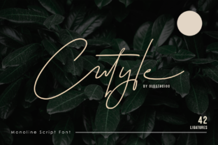 Cutyle Script: A Designer’s Practical Review