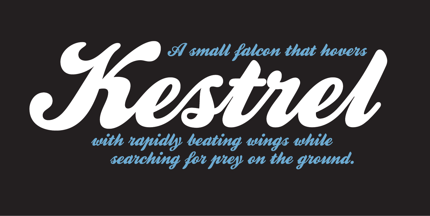Kestrel Script: A Vintage Font for Modern Makers