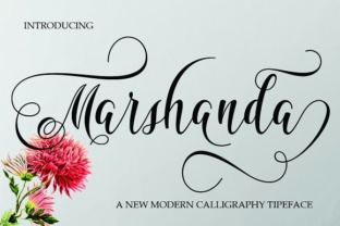 Marshanda Typeface: Elevate Your Brand Visuals