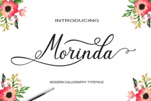 Morinda Font: Elevating Web Typography