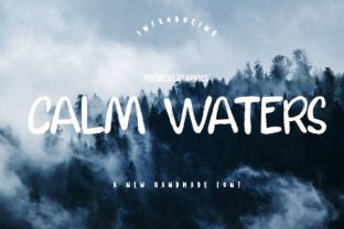 Reviewing Calm Waters for Modern Brand Identity