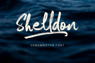 Shelldon: A Handwritten Typeface for Editorial Warmth