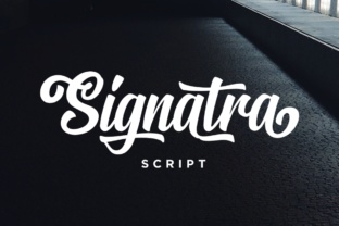 Signatra Script: A Playful Typeface for Modern Branding