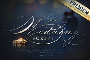 Wedding Script Font: A Marketer’s Review