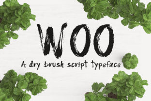 Woo Typeface Review: A Bold Brush Font for Branding